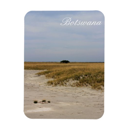 Botswana Landscape Salt Pans Savannah Magneet (Verticaal)