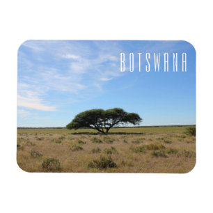 Botswana Landscape Savannah Savanna Tree Grass Magneet