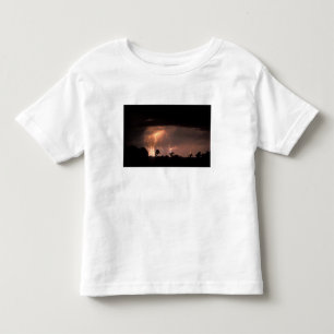 Botswana, Moremi Game Reserve, Bliksem vult Kinder Shirts