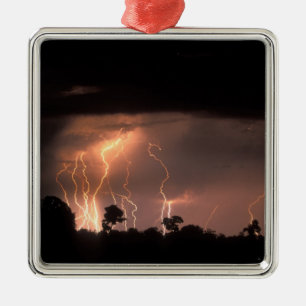 Botswana, Moremi Game Reserve, Bliksem vult Metalen Ornament
