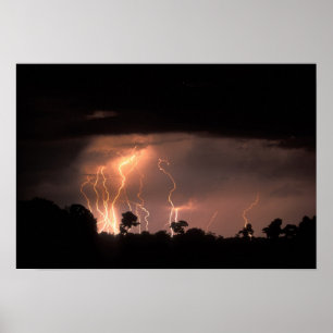 Botswana, Moremi Game Reserve, Bliksem vult Poster