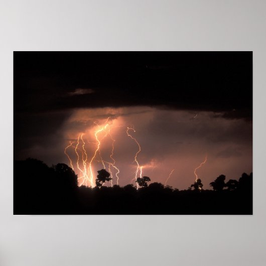 Botswana, Moremi Game Reserve, Bliksem vult Poster (Voorkant)