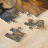 Botswana, Nationaal park Chobe, Leeuwinnen Legpuzzel (Zijkant)
