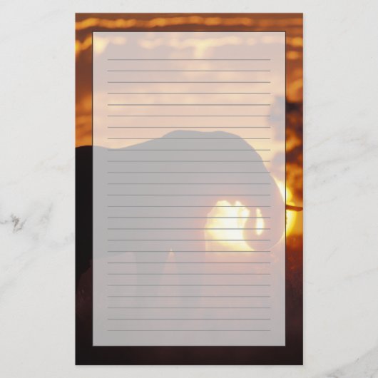 Botswana, Nationaal Park Chobe, olifant Briefpapier (Voorkant)