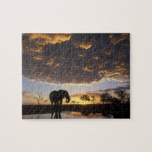 Botswana, Nationaal park Chobe, Olifant Legpuzzel