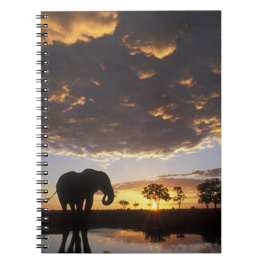 Botswana, Nationaal park Chobe, Olifant Notitieboek (Voorkant)