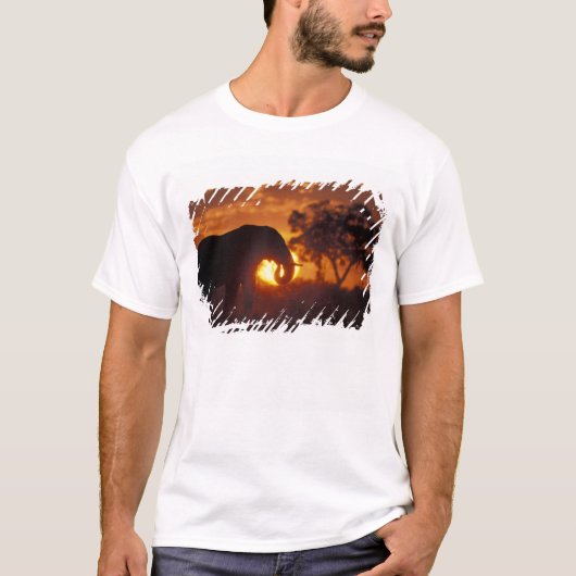 Botswana, Nationaal Park Chobe, olifant T-shirt (Voorkant)