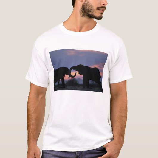 Botswana, Nationaal Park Chobe, Olifanten T-shirt (Voorkant)