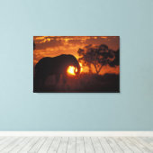 Botswana, Nationaal Park Chobe, Stier Olifant Canvas Afdruk (Insitu (Houten vloer))