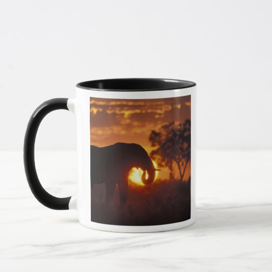 Botswana, Nationaal park Chobe, Stier Olifant Mok (Links)