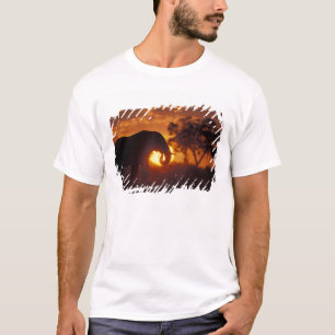 Botswana, Nationaal park Chobe, Stier Olifant T-shirt
