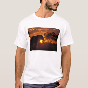 Botswana, Nationaal park Chobe, Stier Olifant T-shirt
