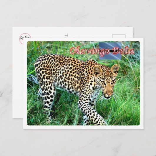 Botswana - Okavango Delta - Briefkaart (Voorkant / Achterkant)