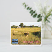 Botswana - Okavango Delta - Briefkaart (Staand voorkant)