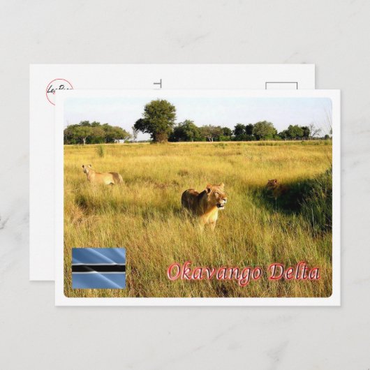 Botswana - Okavango Delta - Briefkaart (Voorkant / Achterkant)
