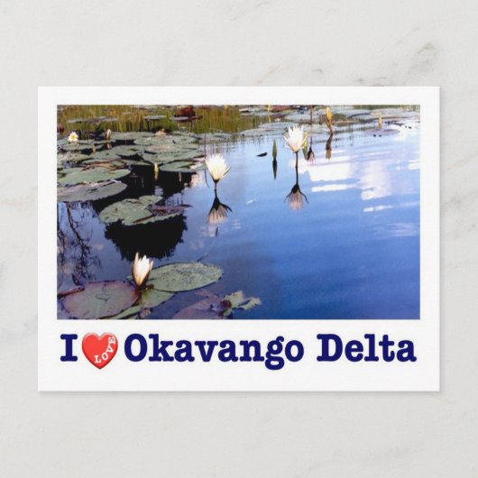 Botswana - Okavango Delta - Ik hou van - Briefkaart (Voorkant)