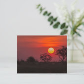 Botswana Okavango Delta Sunset Briefkaart (Staand voorkant)