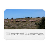 Botswana Oryx Animals Savannah Travel Magneet (Horizontaal)