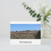 Botswana Oryx Wilde Dieren Savannah Landschap Briefkaart (Staand voorkant)