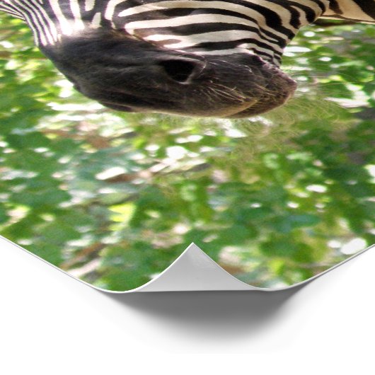 Botswana Poster (Hoek)