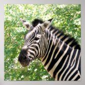 Botswana Poster (Voorkant)