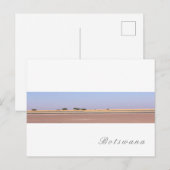 Botswana Salt Pans Savannah Grass Landschap Briefkaart (Voorkant / Achterkant)