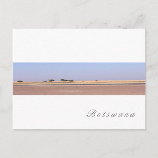 Botswana Salt Pans Savannah Grass Landschap Briefkaart (Voorkant)