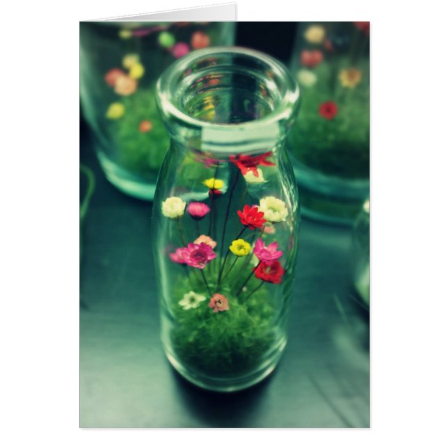 Bottelbloemen (Voorkant)