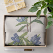 Bottelgentian van Mary Vaux Walcott Tissuepapier (Geschenk)