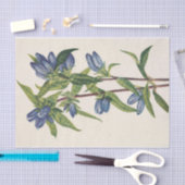 Bottelgentian van Mary Vaux Walcott Tissuepapier (Craft)