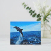Bottelneusdolfijn Briefkaart (Staand voorkant)