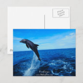 Bottelneusdolfijn Briefkaart (Voorkant / Achterkant)