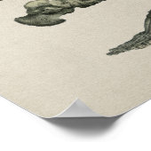 Botten Anatomie  afdruk Poster (Hoek)