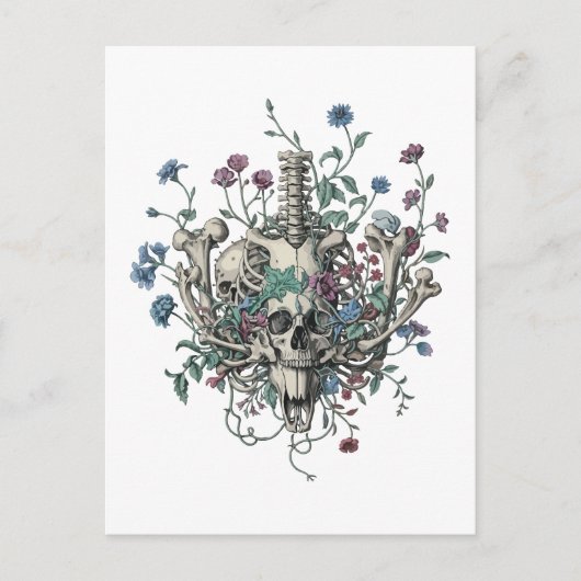 Botten en Botany Briefkaart (Voorkant)