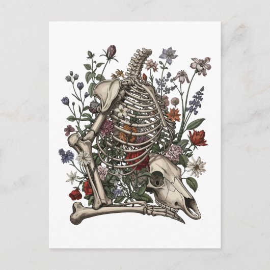 Botten en Botany Briefkaart (Voorkant)