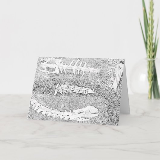 Botten Kleuren DIY Kleuren Project Kaart (Voorkant)