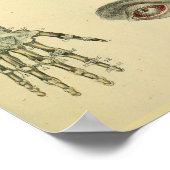 Botten met arm Oogst Anatomie Art Afdrukken Poster (Hoek)