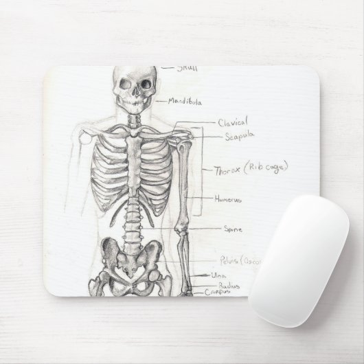 Botten Muismat (Met muis)