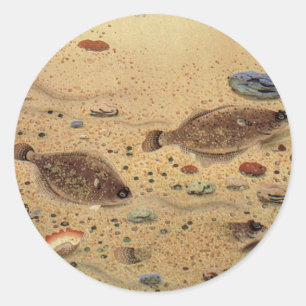 Botten of Platvissen, Vintage Mariene Oceaanleven Ronde Sticker