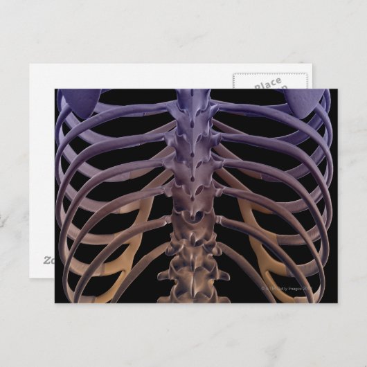 Botten van de achterkant briefkaart (Voorkant / Achterkant)