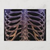 Botten van de achterkant briefkaart (Voorkant)