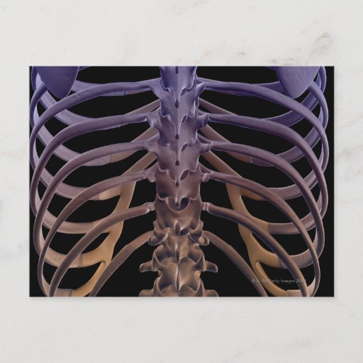 Botten van de achterkant briefkaart (Voorkant)