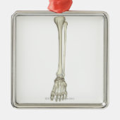 Botten van de been metalen ornament (Voorkant)
