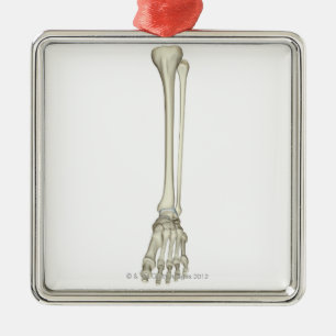 Botten van de been metalen ornament