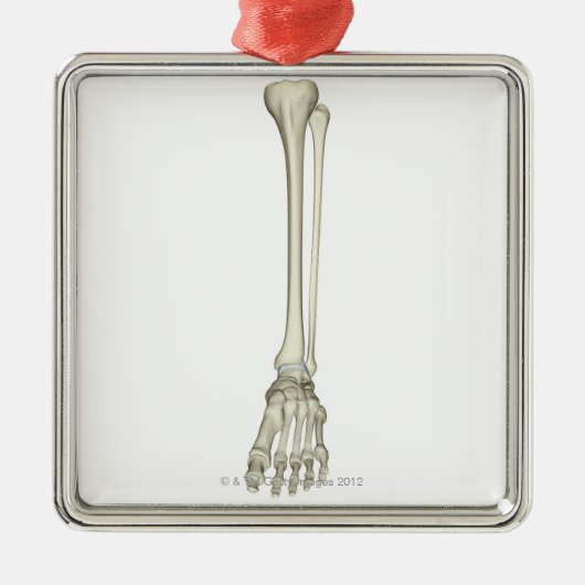 Botten van de been metalen ornament (Voorkant)