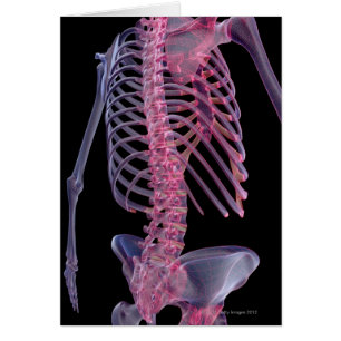 Botten van de boomstam