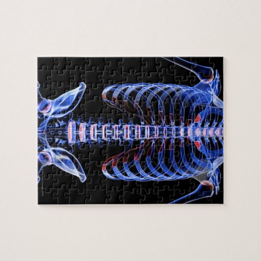 Botten van de boomstam 2 legpuzzel (Horizontaal)