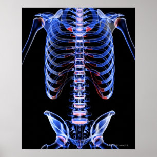 Botten van de boomstam 2 poster