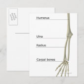 Botten van de bovenste ledemaat briefkaart (Voorkant / Achterkant)