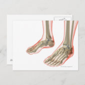 Botten van de Feet Briefkaart (Voorkant / Achterkant)